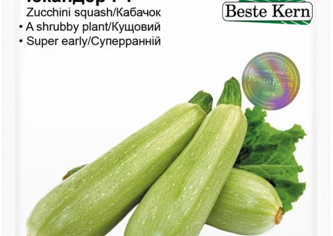 Кабачок Іскандер F1 Beste Kern 5 шт