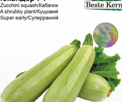 Кабачок Іскандер F1 Beste Kern 5 шт
