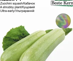 Кабачок Кавілі F1 Beste Kern 5 шт