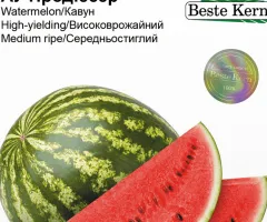 Кавун АУ Продюсер Beste Kern 10шт.