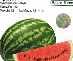 Кавун Гріззлі F1 Beste Kern 5шт.