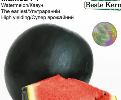 Кавун Маніса F1 Beste Kern 5шт.