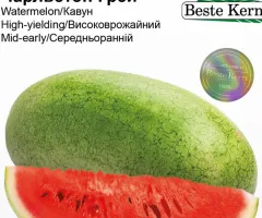 Кавун Чарльстон Грей F1 Beste Kern 10 шт