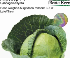 Капуста білокачана Агресор F1 Beste Kern 20 шт