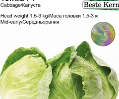 Капуста білокачана Топма F1 Beste Kern 20 шт