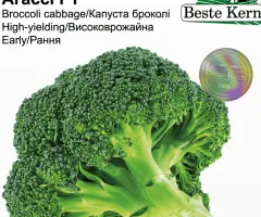 Капуста броколі Агассі F1 Beste Kern 10шт.