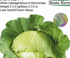 Капуста Лонгма F1 Beste Kern 20шт.