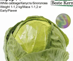 Капуста Мірор F1 Beste Kern 20шт.