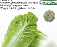 Капуста пекінська Юкі F1 Beste Kern 20шт.