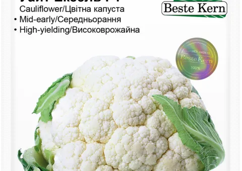 Капуста Уайт Ексель F1 Beste Kern 20 шт