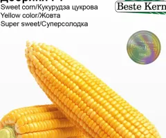 Кукуруза сахарная Добрыня F1 Beste Kern 20 шт.