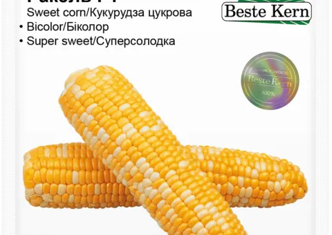 Сахарная кукуруза Ракель F1 Beste Kern 5 г.