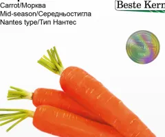Морква Імер F1 Beste Kern