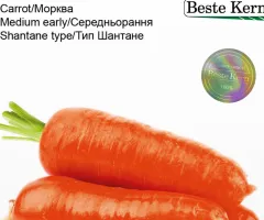 Морква Абако Abaco F1 Beste Kern 1 г