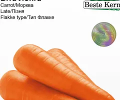 Морква Віта Лонга Beste Kern 1г.