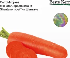 Морква Канада F1 Beste Kern 1 г