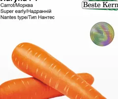 Морква Лагуна F1 Beste Kern 1г.