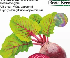 Насіння Буряку борщового Тонда ді Кьожжа F1 (Beste Kern) 3 г