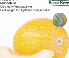 Насіння Диня Нево F1 Beste Kern 10 шт