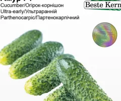 Огірок Амур F1 Beste Kern 10 шт