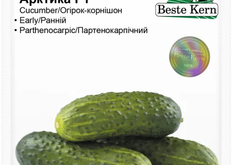 Огірок Арктика F1 Beste Kern 10шт.