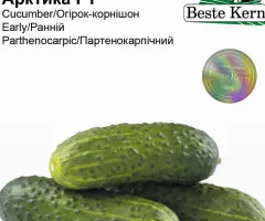 Огірок Арктика F1 Beste Kern 10шт.
