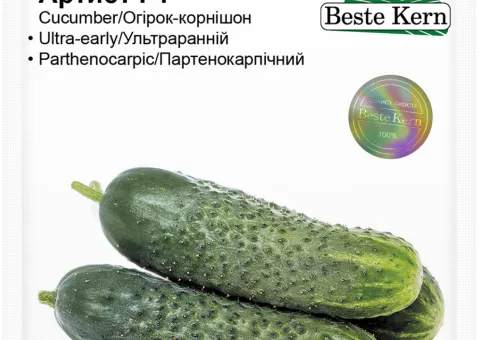 Огірок Артист F1 Beste Kern 10 шт