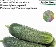 Огірок Артист F1 Beste Kern 10 шт