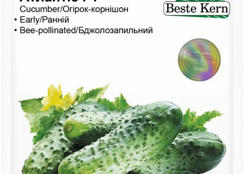 Огірок Атлантіс F1 Beste Kern 20 шт