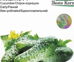 Огірок Атлантіс F1 Beste Kern 20 шт
