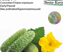 Огірок Аякс F1 Beste Kern 20 шт