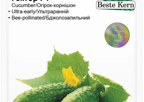 Огірок Гектор F1 Beste Kern 20 шт