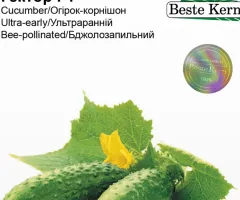 Огірок Гектор F1 Beste Kern 20 шт