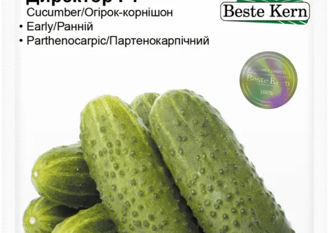 Огірок Директор F1 Beste Kern 10шт.