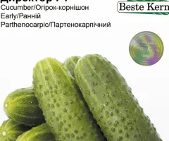 Огірок Директор F1 Beste Kern 10шт.