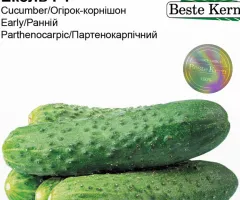 Огірок Еколь F1 Beste Kern 10 шт