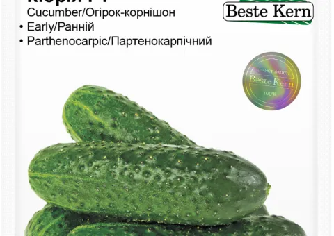 Огірок Кібрія F1 Beste Kern 10 шт