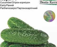 Огірок Кібрія F1 Beste Kern 10 шт