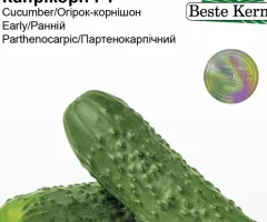 Огірок Капрікорн F1 Beste Kern 10шт.