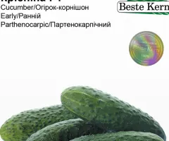 Огірок Кріспіна Beste Kern 10 шт