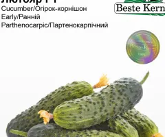 Огірок Лютояр F1 Beste Kern 10шт.