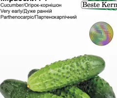 Огірок Мірабелл F1 Beste Kern 10 шт