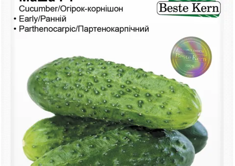 Огірок Маша F1 Beste Kern 10 шт