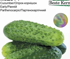 Огірок Маша F1 Beste Kern 10 шт