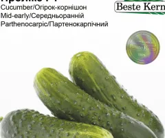Огірок Пролікс F1 Beste Kern 10шт.