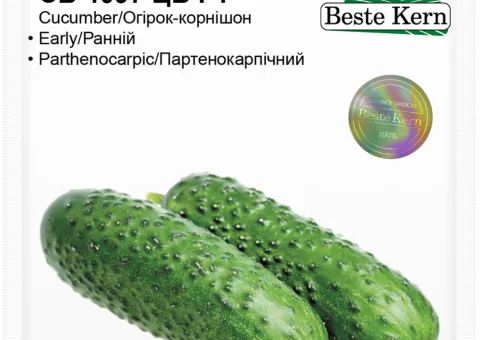 Огірок СВ 4097 ЦВ F1 Beste Kern 10 шт
