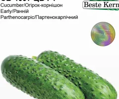 Огірок СВ 4097 ЦВ F1 Beste Kern 10 шт
