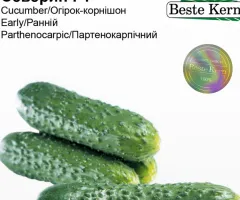 Огірок Северін F1 Beste Kern 10 шт