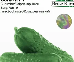 Огірок Соната F1 Beste Kern 20шт.