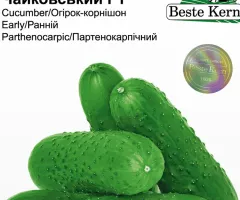 Огірок Чайковський F1 Beste Kern 10шт.
